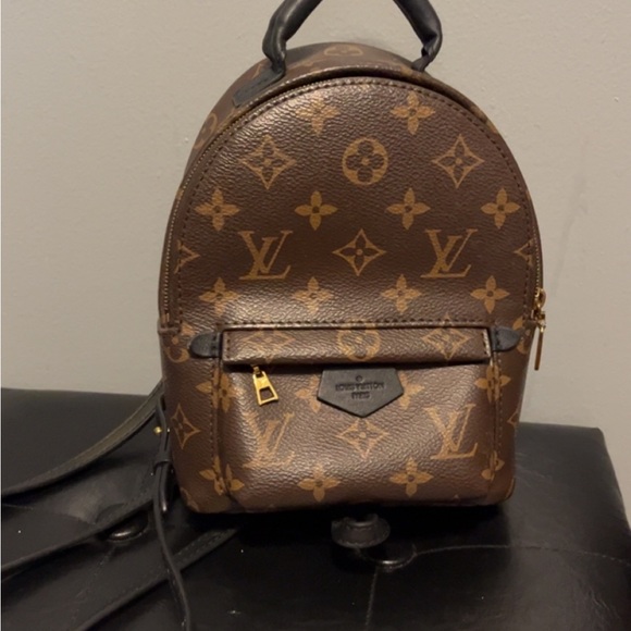 Louis Vuitton Palm Springs Mini - Picture 3 of 5